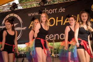 Weinfest 2016