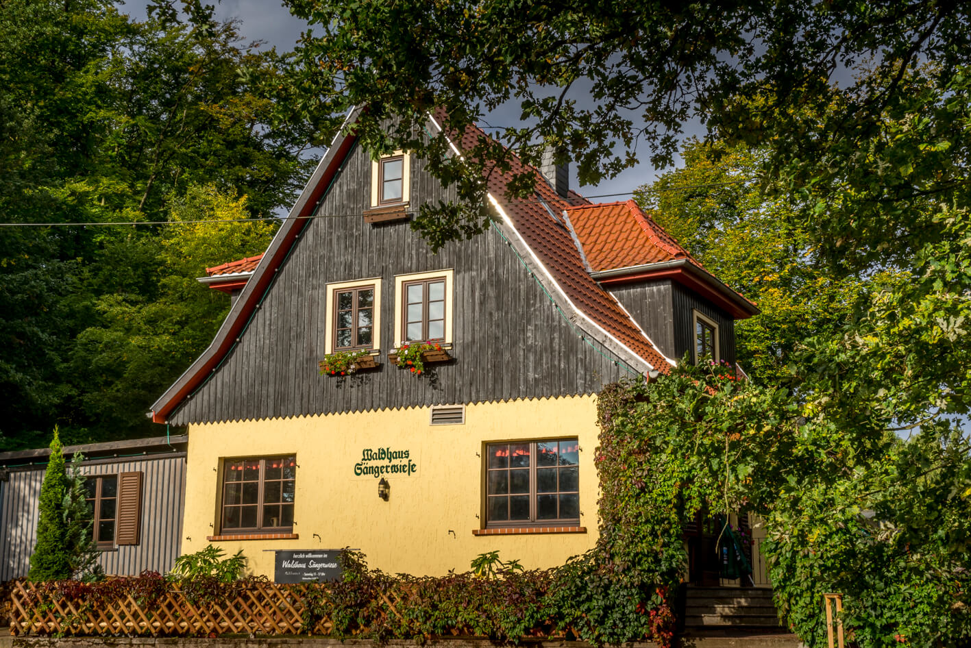 Sängerwiese